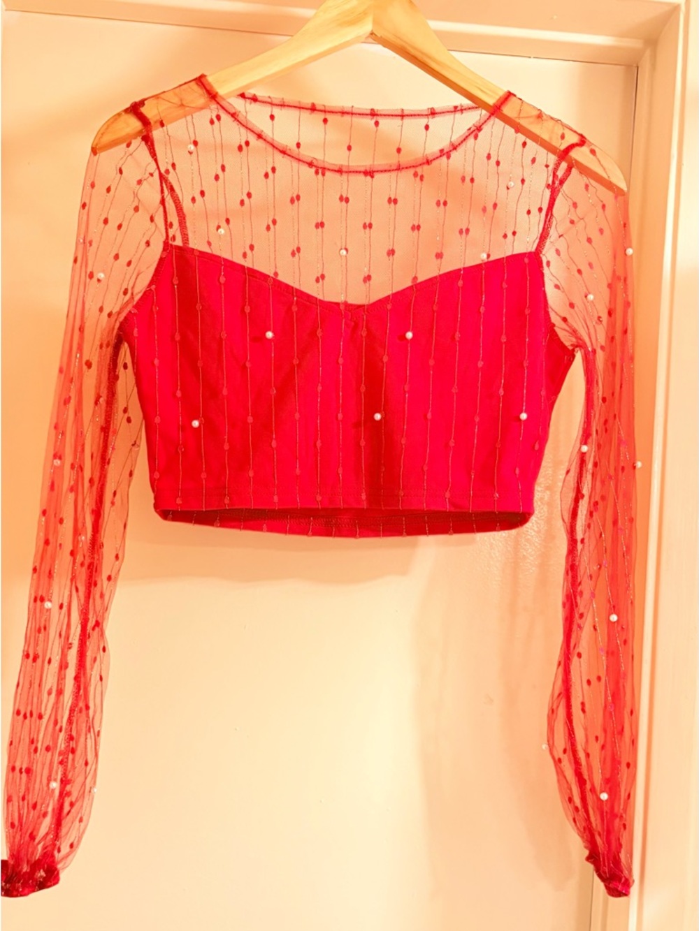 NWOT SHEIN Red Sheer Long-Sleeve Embellished Crop Top
